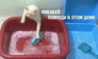Sticker from да шоб тебя каток переехал блядина