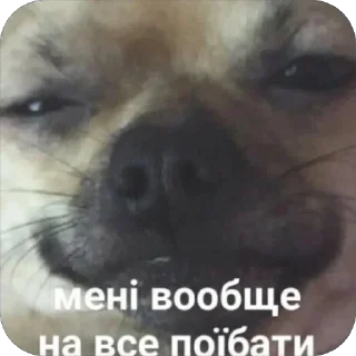 🙂 emoji Муд Telegram sticker 7 of 117