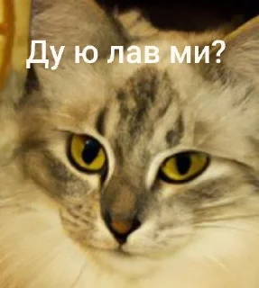 Sticker from Самий (ни) ожидаемый стикер