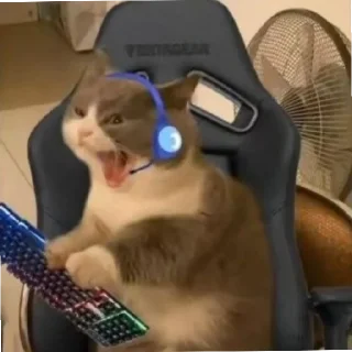 Sticker from Котик