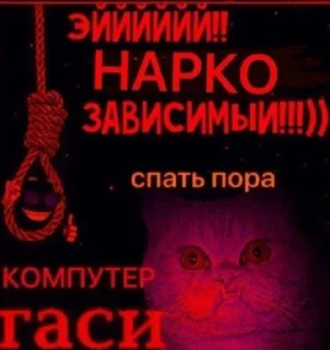 🐱 emoji Ахуенная ребеча Telegram sticker 12 of 112