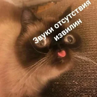 🌟 emoji Тыгыдык Telegram sticker 3 of 50