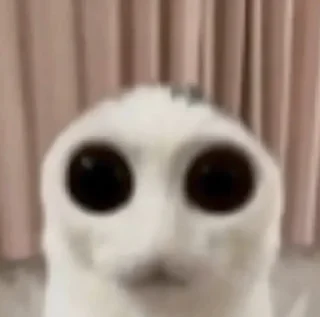 😧 emoji Я ебу собак Telegram sticker 17 of 86