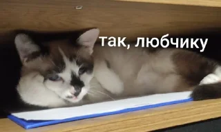 Sticker from Міньйон моє сонешко