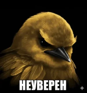 Sticker from у меня тоже есть птички