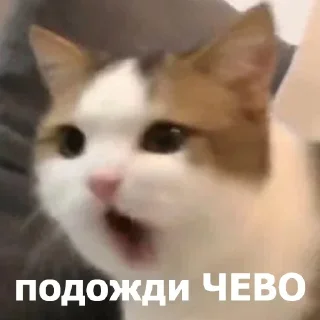 😮 emoji Джул — @fStikBot Telegram sticker 9 of 120