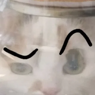 Sticker from Хватит ебать кошку