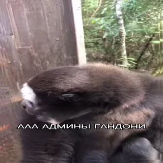 Sticker from Пезда тебе