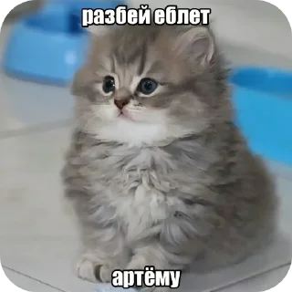 Sticker from Старый дог