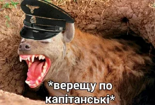 👮‍♂️ emoji Залізний фан Telegram sticker 17 of 31