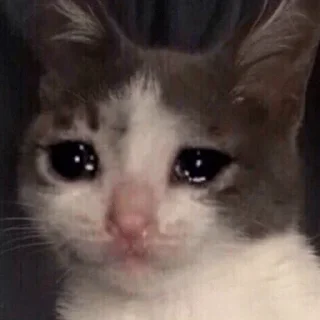 😢 emoji Мемы Мемы Telegram sticker 7 of 29