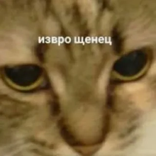 ❤️ emoji @sempai21 пикчи Telegram sticker 11 of 40