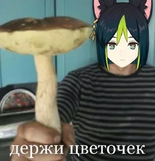 🌟 emoji Наркоман🍄 Telegram sticker 13 of 19