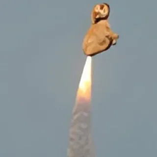😄 emoji Стикеры кота на все случаи жизни Telegram sticker 18 of 26