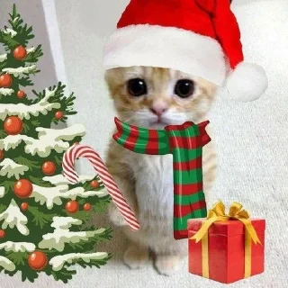 Sticker from Новый год🎅🏻