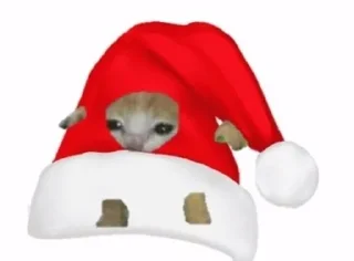 🎀 emoji коты и новый год🎄 Telegram sticker 2 of 30