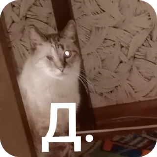 🐱 emoji Эти стики Сани Перса Telegram sticker 8 of 115