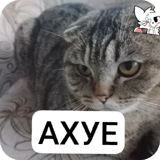 👍 emoji Эти стики Сани Перса Telegram sticker 11 of 115