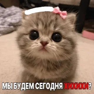 🫛 emoji ну и хуйня Telegram sticker 8 of 42