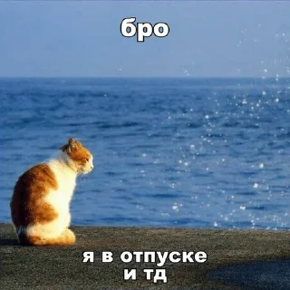 🫛 emoji ну и хуйня Telegram sticker 4 of 42