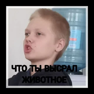 Sticker from Женщина мечты