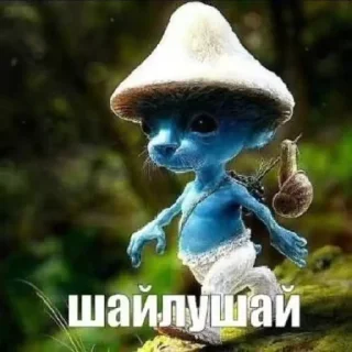 Sticker from шайлушай