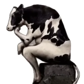 Sticker from stupid cow