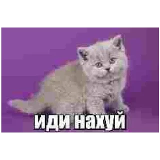 😋 emoji Ватафак Telegram sticker 12 of 17