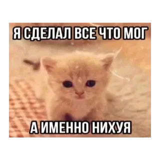😇 emoji Ватафак Telegram sticker 17 of 17