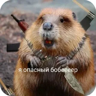 🐾 emoji Лучпик Telegram sticker 6 of 30
