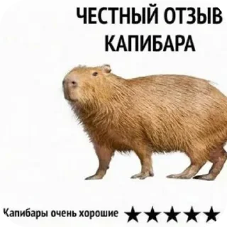 🐶 emoji Лучпик Telegram sticker 22 of 30