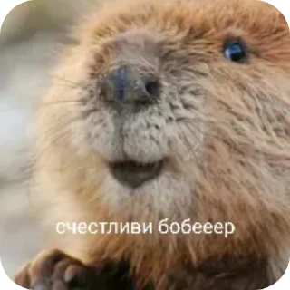 ✋ emoji Лучпик Telegram sticker 5 of 30