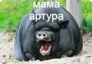 Sticker from Артур еврей