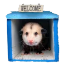 ✋ emoji Opossum-Sesame Telegram sticker 7 of 30