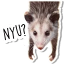 Sticker from Opossum