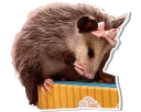 😳 emoji Opossum Telegram sticker 16 of 16