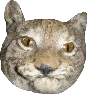 😒 emoji ЛеБлядъ? Ок Telegram sticker 23 of 103