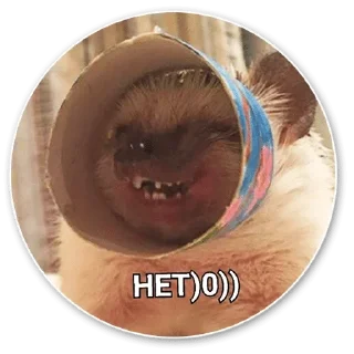 🖕 emoji ЛеБлядъ? Ок Telegram sticker 20 of 103