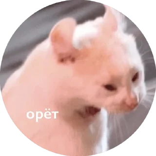 🤪 emoji ЛеБлядъ? Ок Telegram sticker 16 of 103