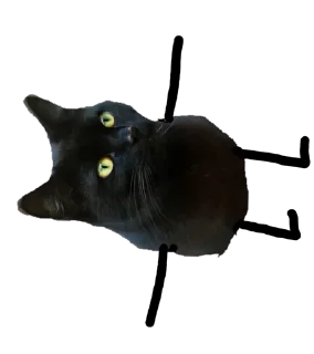 🤪 emoji Black Cat @stickersb2b Telegram sticker 11 of 22