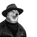 Sticker from Reaction