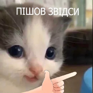 👉 emoji He-he Telegram sticker 24 of 33