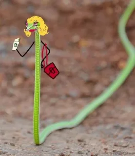 👧 emoji Snake @Llcloud Telegram sticker 14 of 34