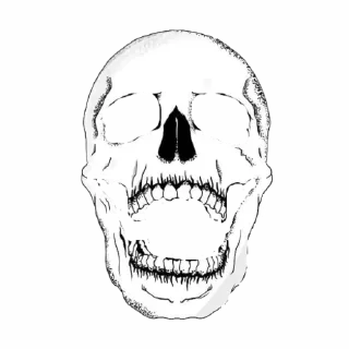 💀 emoji 𝙏𝙧𝙚𝙚𝙝𝙤𝙪𝙨𝙚_𝙗𝙖𝙣 🏴‍☠️ Telegram sticker 7 of 16