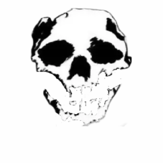 💀 emoji 𝙏𝙧𝙚𝙚𝙝𝙤𝙪𝙨𝙚_𝙗𝙖𝙣 🏴‍☠️ Telegram sticker 4 of 16