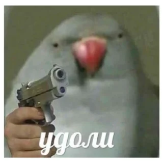 Sticker from Ты лох