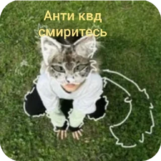🌟 emoji Квд Telegram sticker 5 of 17