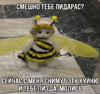🌟 emoji злые котеки: @catliing Telegram sticker 14 of 23