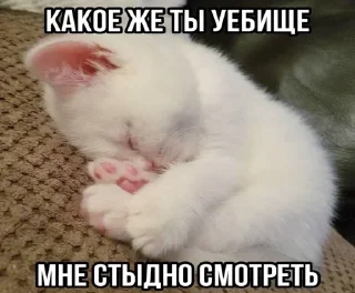🌟 emoji злые котеки: @catliing Telegram sticker 8 of 23