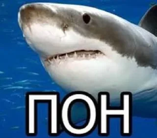 🌟 emoji Я уверяю мне можно доверить ог Telegram sticker 8 of 87